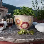 Authenticity Of Living In Mani For Nature Lovers *