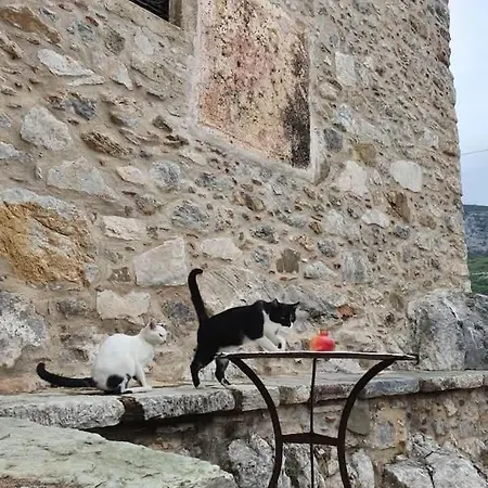 Casa vacanze Authenticity Of Living In Mani For Nature Lovers Orovas