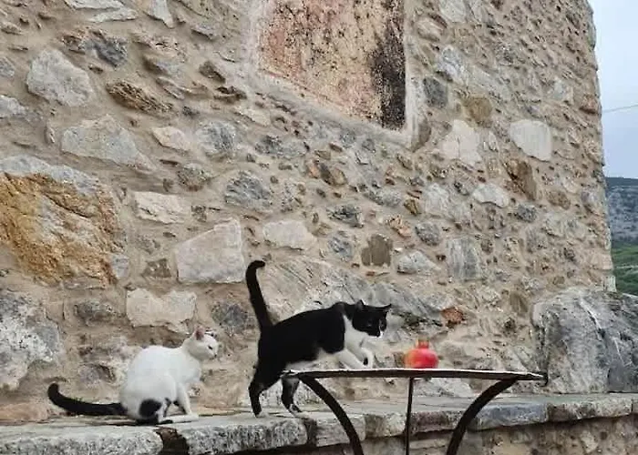 Vakantiehuis Authenticity Of Living In Mani For Nature Lovers Orovas